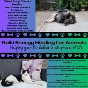 pet reiki flyer